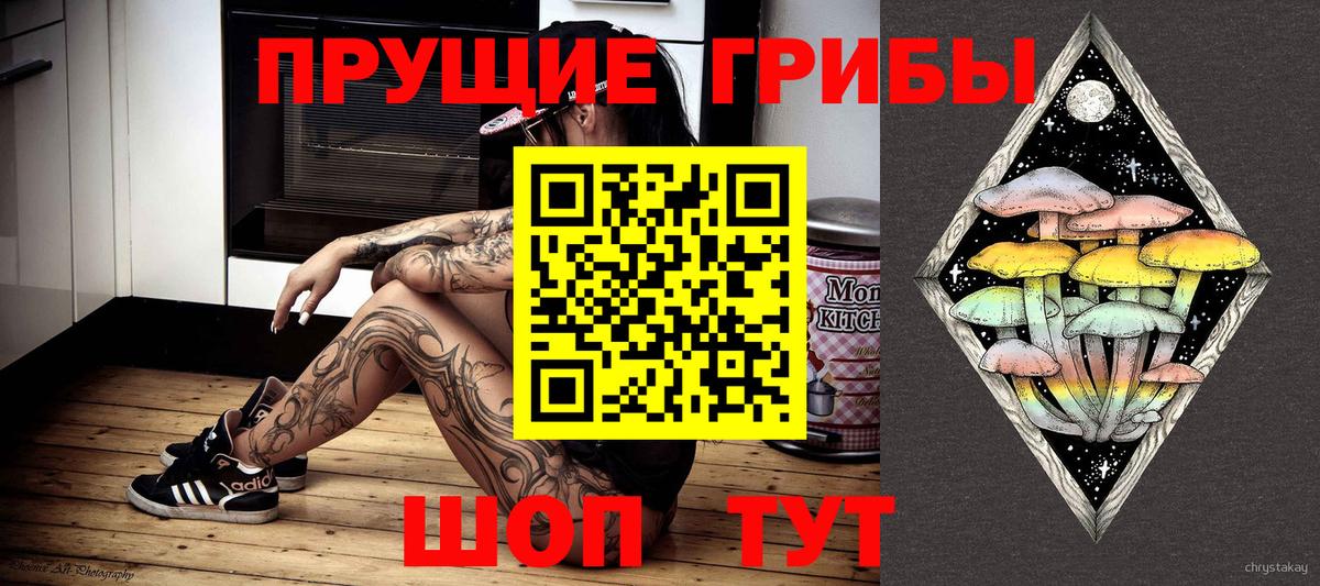 Галлюциногенные грибы Psilocybe  Вход с VPN  Красноармейск 