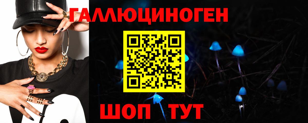 Псилоцибиновые грибы Cubensis Красноармейск